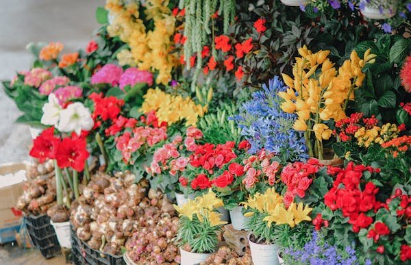 Interflora livraison : la touche florale à portée de main